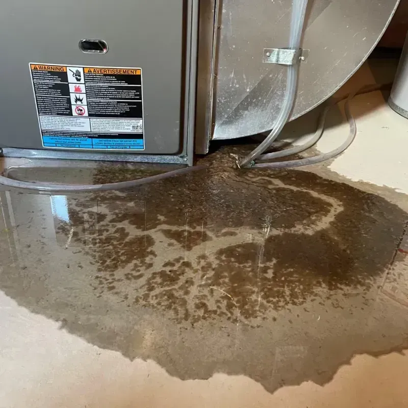 Appliance Leak Cleanup in Linden, CA